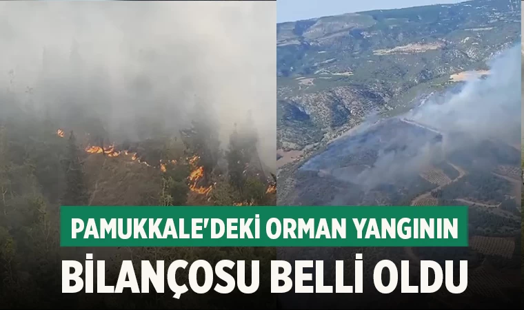 Pamukkale'deki orman yangının bilançosu belli oldu