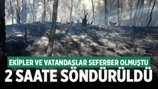 Denizli'de çıkan orman yangını söndürüldü